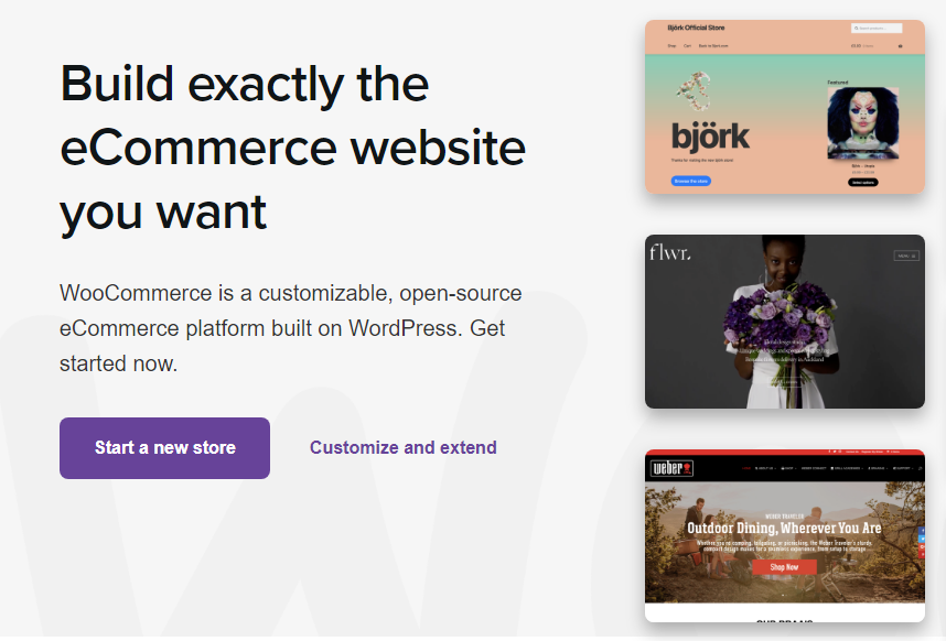 Screenshot showing the possible store layouts that can be built with WooCommerce