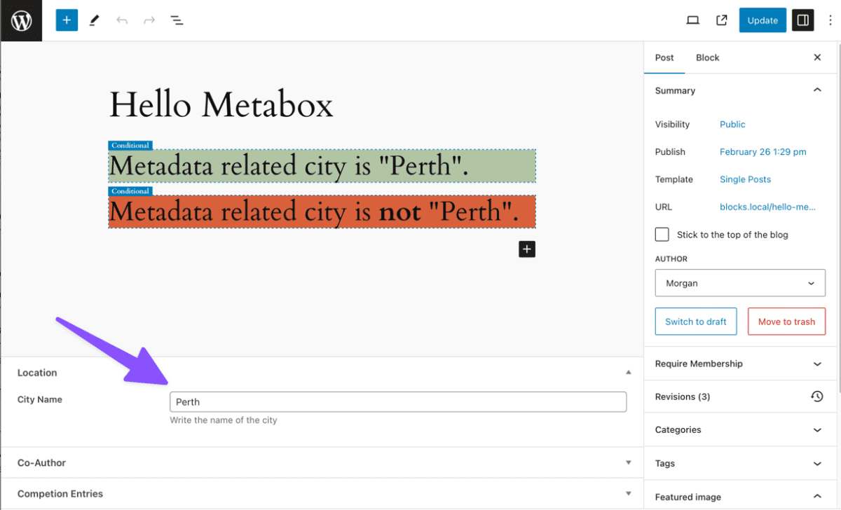 Example screenshot with an arrow to meta fields in WordPress post editor.